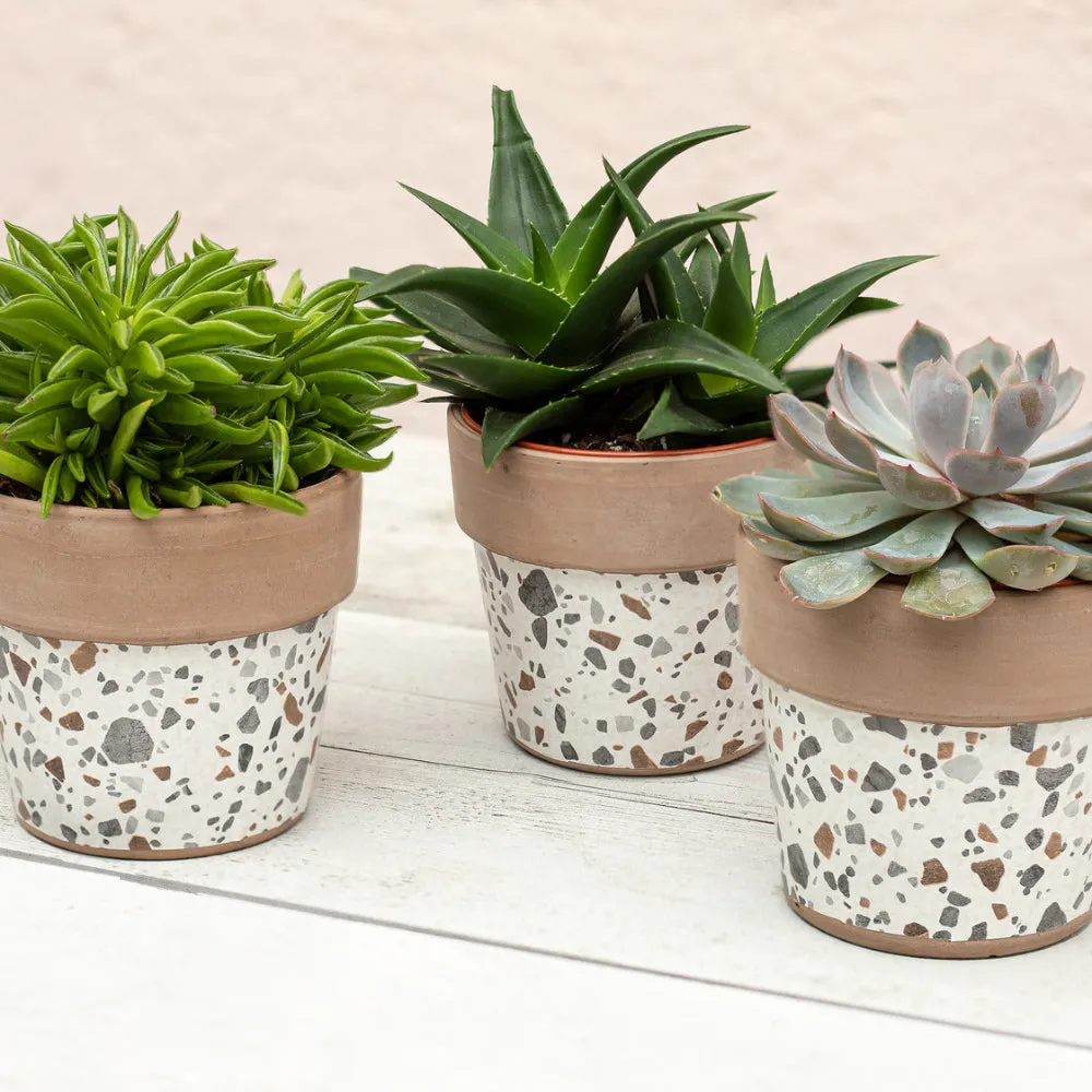 Terrazzo | Adhesive Vinyl